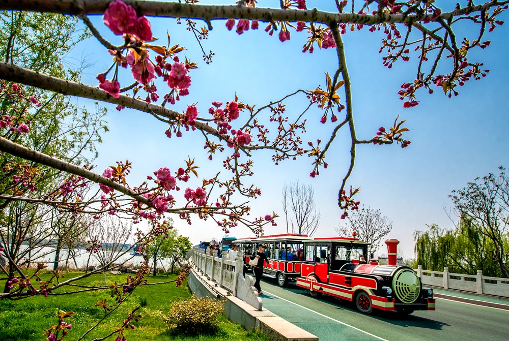 萬亮_作品名_小火車上賞春景_手機_18851556448_ID_3258964_04490032371-19042520555065_o.jpg